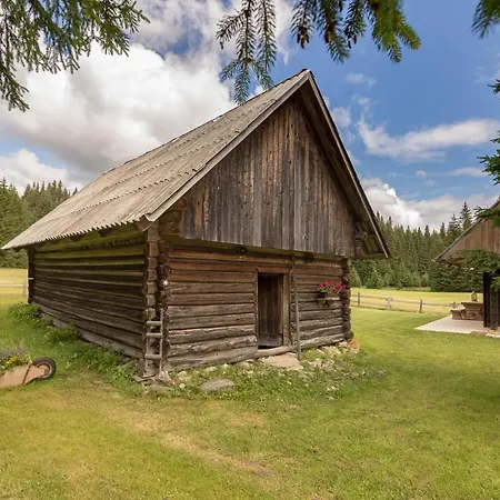 Zalin Planinski Raj Holiday home Goreljek