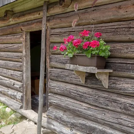 Zalin Planinski Raj Holiday home