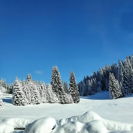 Zalin Planinski Raj Goreljek