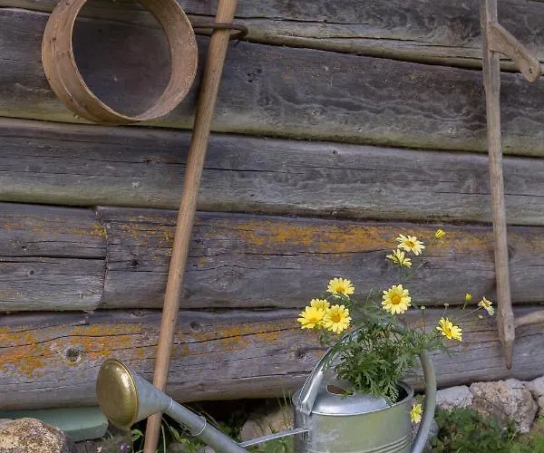 Zalin Planinski Raj 펜션