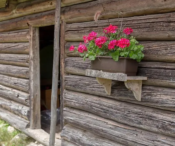 Zalin Planinski Raj Holiday home