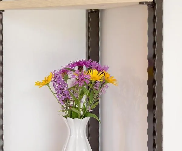 Zalin Planinski Raj * Goreljek