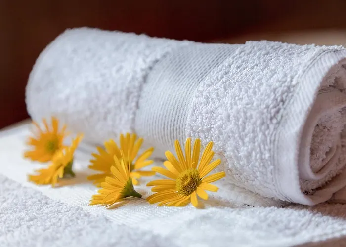 Zalin Planinski Raj 펜션