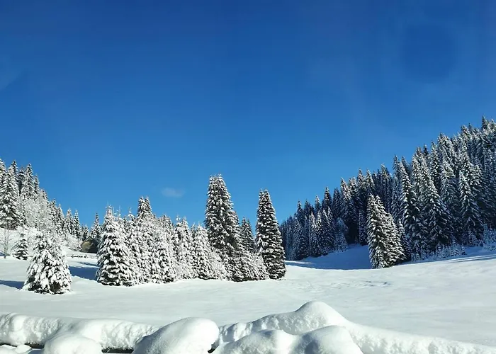 Zalin Planinski Raj Goreljek