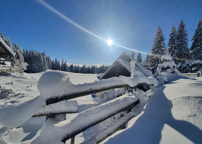 Zalin Planinski Raj Holiday home *