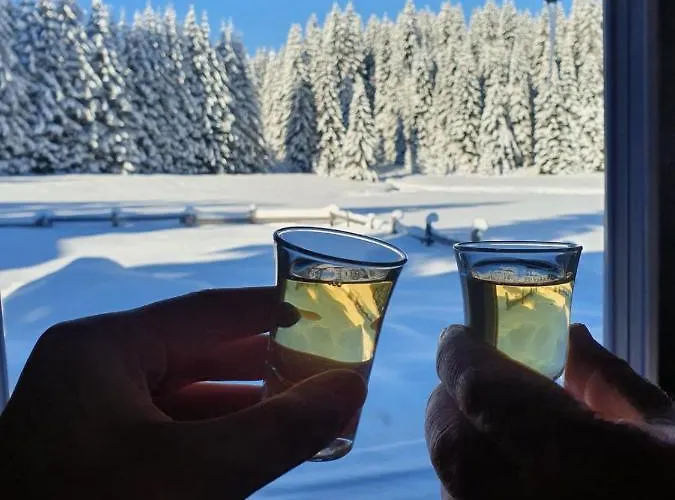 Zalin Planinski Raj Holiday home *