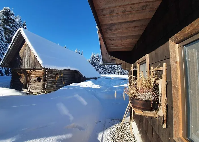 Zalin Planinski Raj Holiday home *